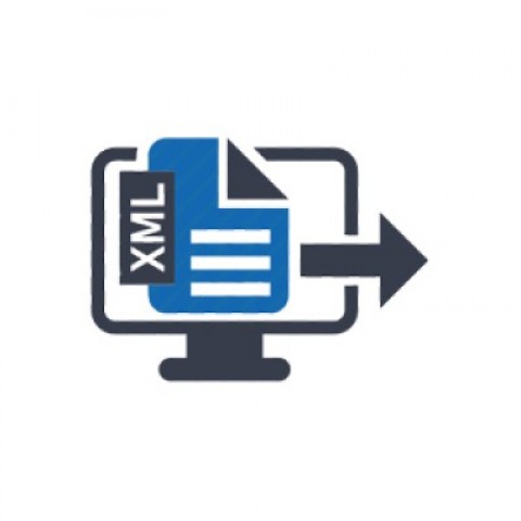 Advanced XML Module Advanced XML Module
